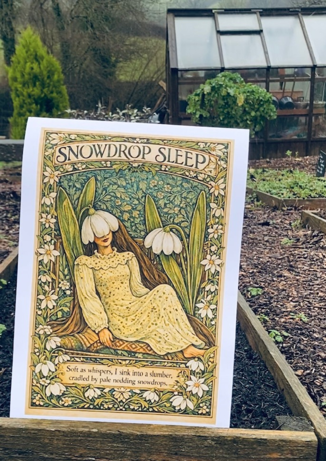 Snowdrop Sleep Print